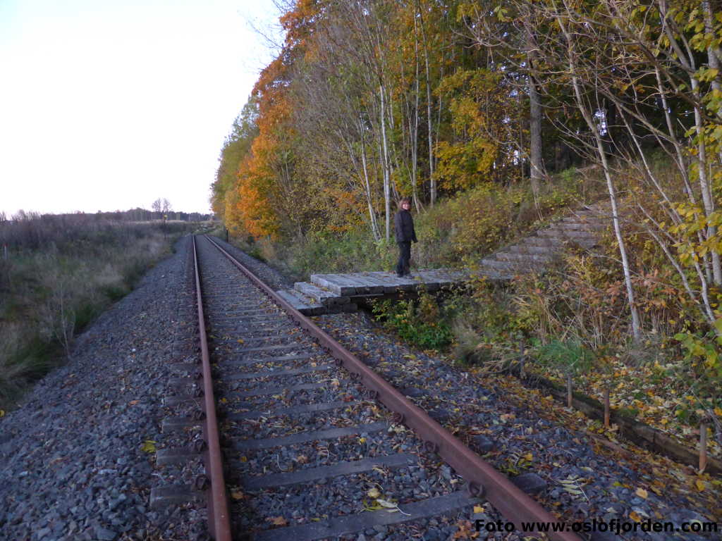 Bergstien jernbanespor rundtur Tønsberg