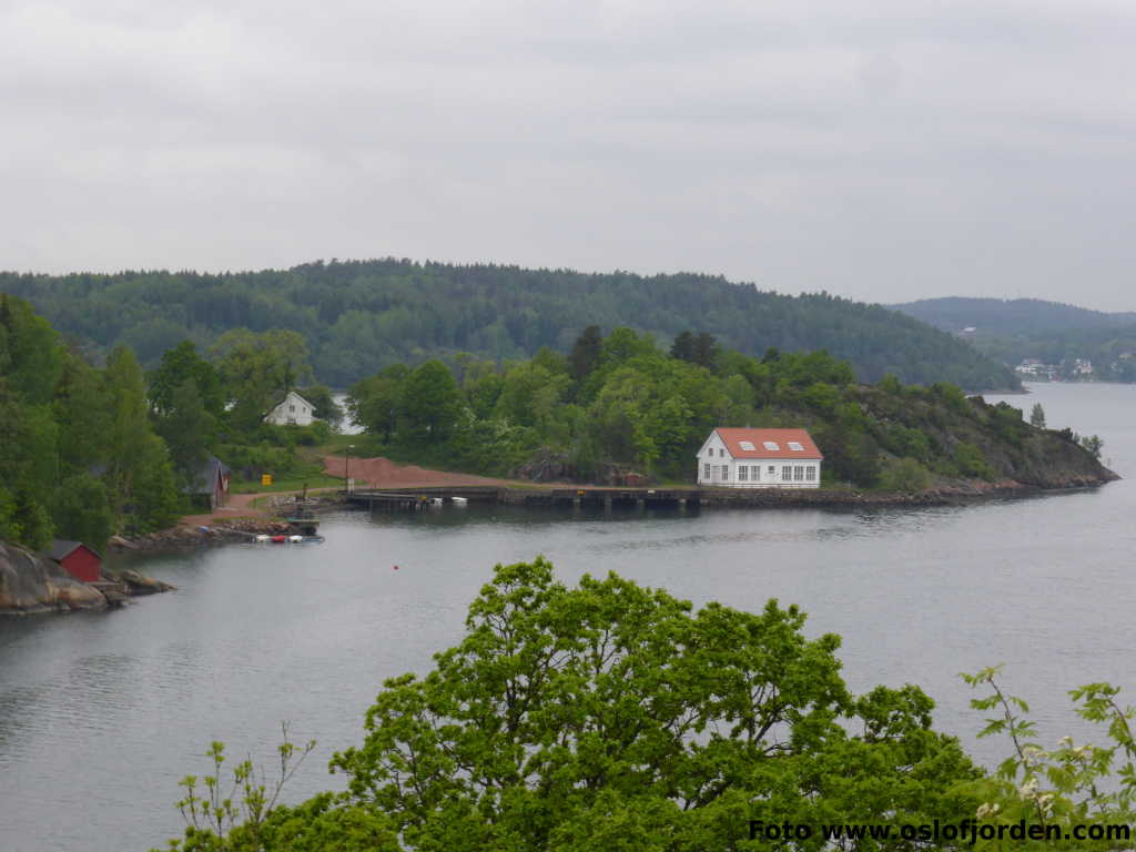 kyststi Tenvik utsikt Håøya